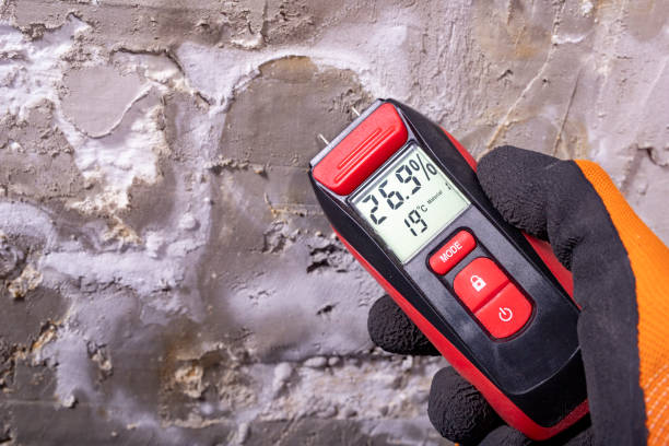 Best Industrial Mold Remediation in Altamont, OR